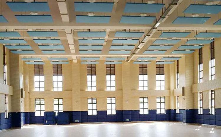 廣東揭陽學校體育館墻面木質吸音板聲學工程