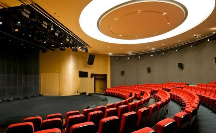 浙江麗水文化藝術(shù)中心木質(zhì)吸音板聲學(xué)工程 浙江麗水文化藝術(shù)中心木質(zhì)吸音板聲學(xué)工程